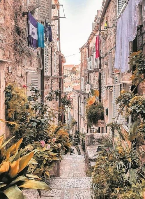 Plaza Royal In The Centre Daire Dubrovnik Dış mekan fotoğraf